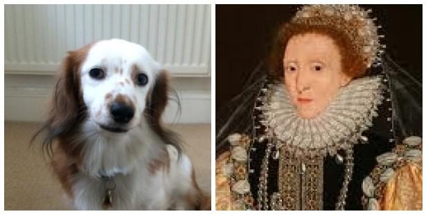 @RevRichardColes I may have the body of a small sausagey dog, but I have the heart and mind of Glenda Jackson