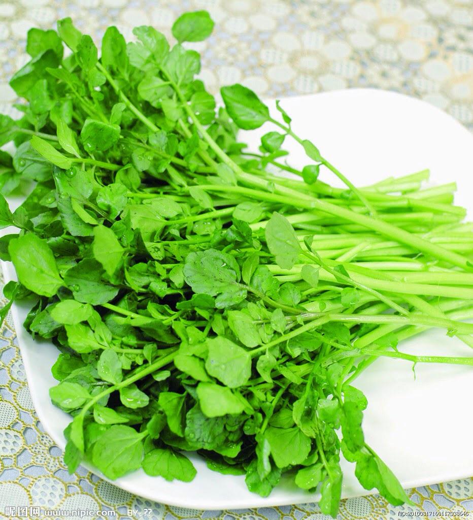 PDFxYTM's tweet image. You may know what is Watercress, have you been to Sai Yeung Choi Street South? please click👇
pdfxytm.blogspot.hk