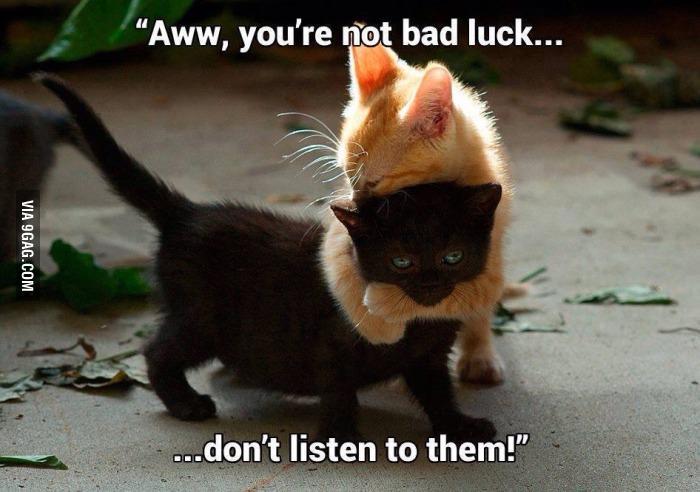 RT to brighten your friends' day 😉
9gag.com/gag/aRgBK9q?re…