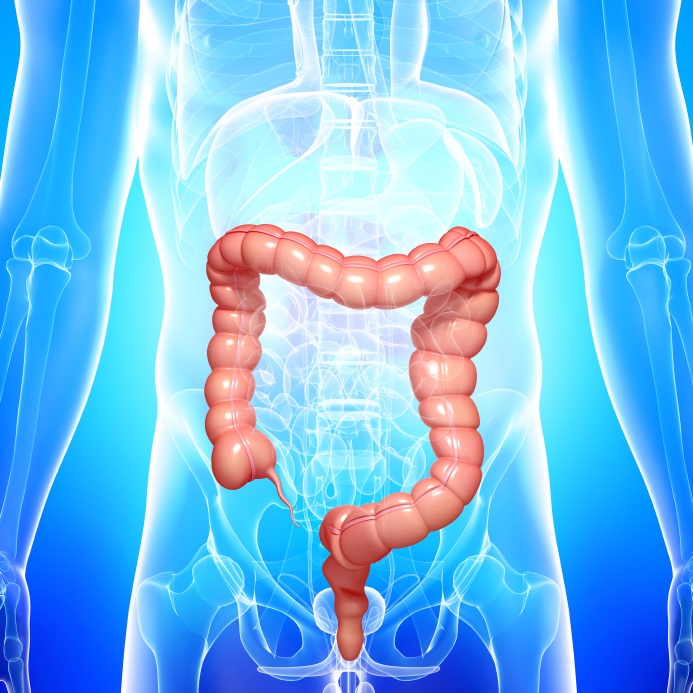 limp_colon's tweet photo. Concienciación de la importancia de la limpieza de colon y su cuidado http://t.co/OQ8HaB4ZVq http://t.co/mBlch6oFKB