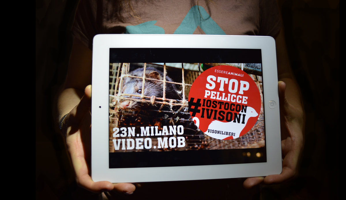 STOP PELLICCE #iostoconivisoni
Il 23novembre vieni a mostrare la verità nel cuore della moda! bit.ly/23N-MILANO-Vid…