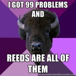 bugrosepink's tweet image. Yesss... #oboe #reeds #oboeproblems