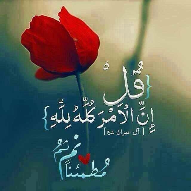 70_7707's tweet photo. http://t.co/n4zA1KpjWZ