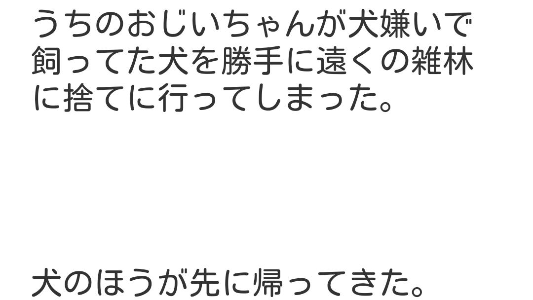カキ 面白い話 画像 たまに動画 Kmitunori Twitter カキ 面白い話 画像 たまに動画 Kmitunori Twitter