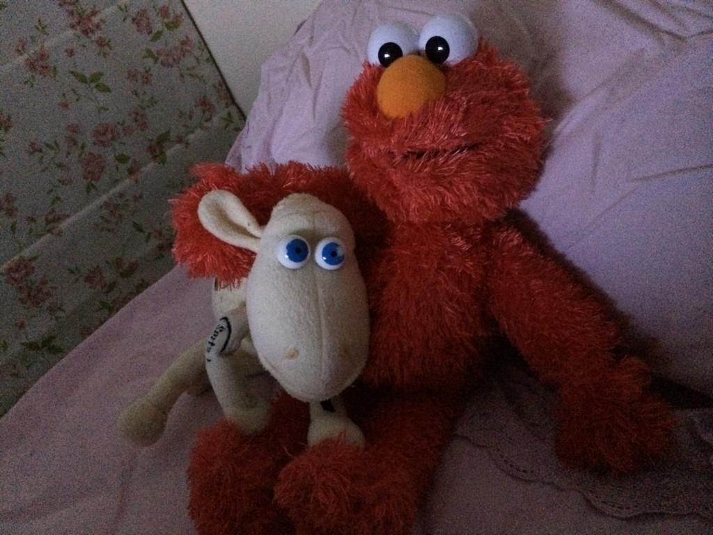 FrancesChen19's tweet photo. Lalala Elmo song http://t.co/YMky5LsYXO