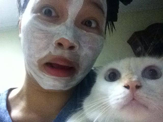 mirkatss's tweet photo. Y do u seem so horrified, just tryna to look more like you. #cat #affection #toomuchaffection http://t.co/G0Isa8lhDS