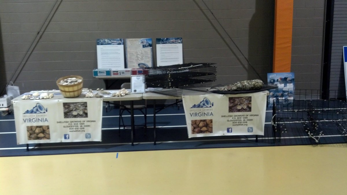 VAShellfish's tweet image. SGV at Education Day for Urbanna Oyster Festival. 300 4th and 7th grade students to learn about shellfish culture.