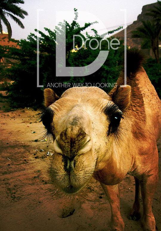 DDron3 tweet picture
