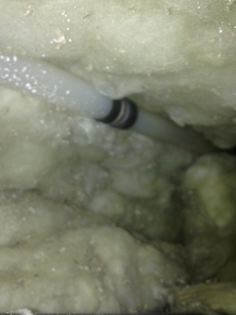 cmbrookins's tweet photo. I checked my last repair in ceiling and its holding tight after a flying squirrel chewed through it. #playingplumber http://t.co/AbBW4DV786