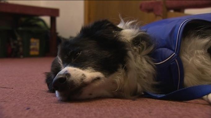 ITVborder tweet picture