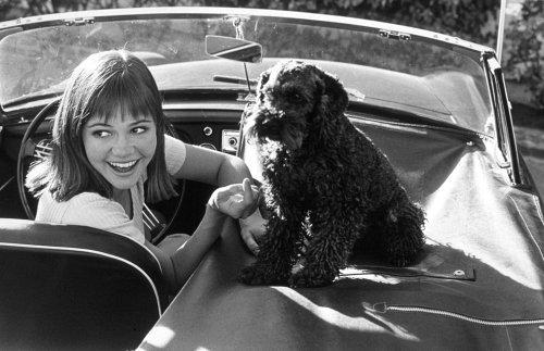 Happy Birthday to Gidget and Flying Nun star Sally Field! 
