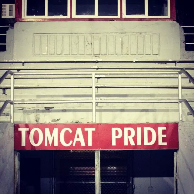 JamiKoons's tweet photo. #TomcatPride http://t.co/agtnD6MTbt