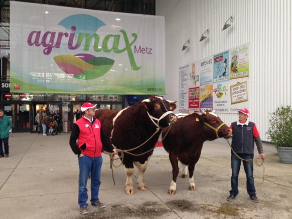 Le Salon #Agrimax accueille les visiteurs jusqu'au samedi 8 novembre à Metz Expo ! #Metz (pic) tout-metz.com/salon-agrimax-…
