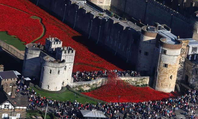 TheTorontoSun's tweet photo. [PHOTOS] Massive poppy display at the Tower of London http://t.co/Cgdg2QjIK9 #NeverForget http://t.co/rhnRRza7DG