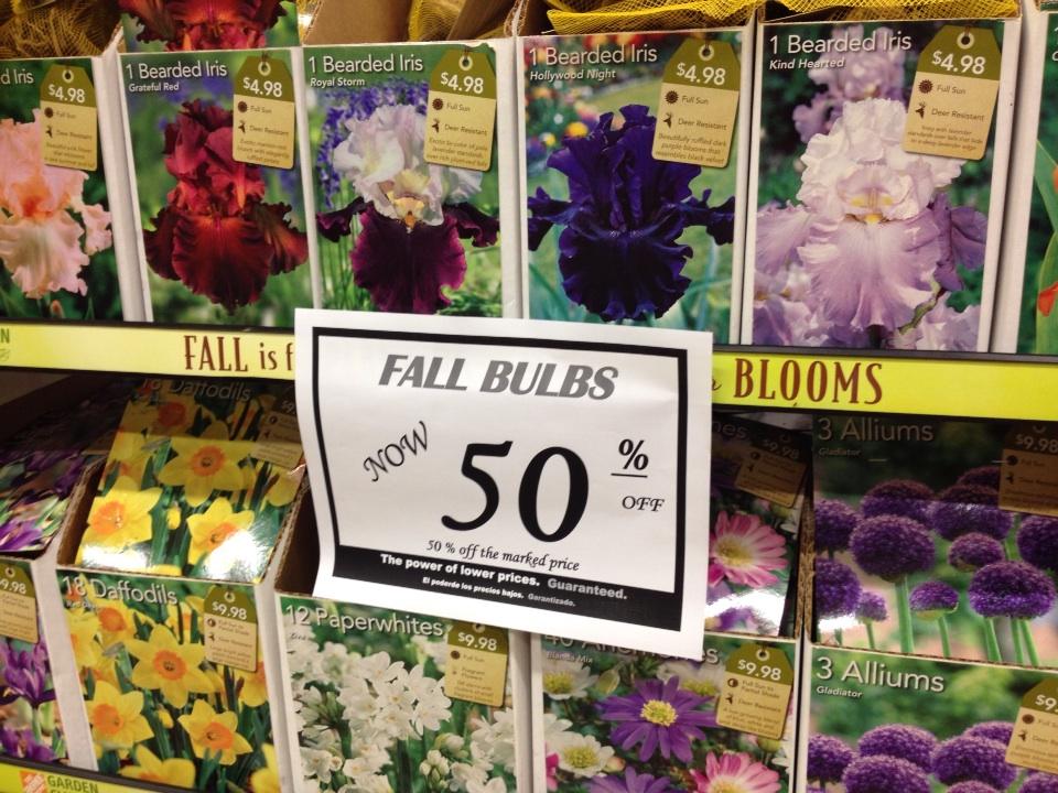 Fall Bulbs now 50% Off at all WA, OR, ID, UT, CO, WY and MT Home Depot Stores.