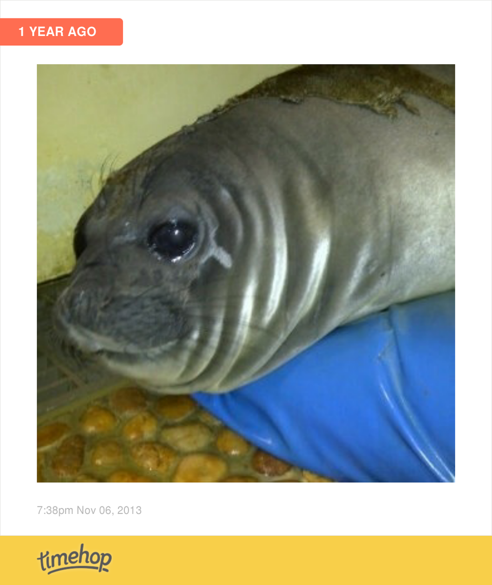HayleyTennant's tweet photo. Miss this face! http://t.co/Wp3PL2Arog http://t.co/q36AGP1i7i