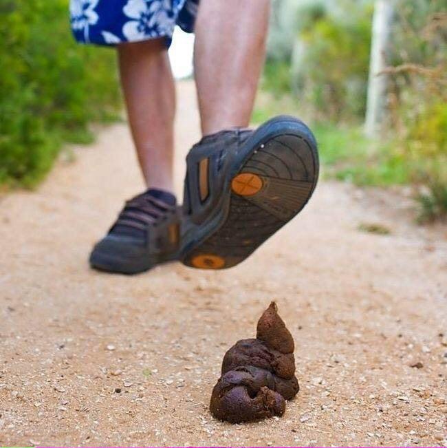 WikiCacaPerruna's tweet photo. ASESINOOOOS!! http://t.co/VGJDCVq1rC