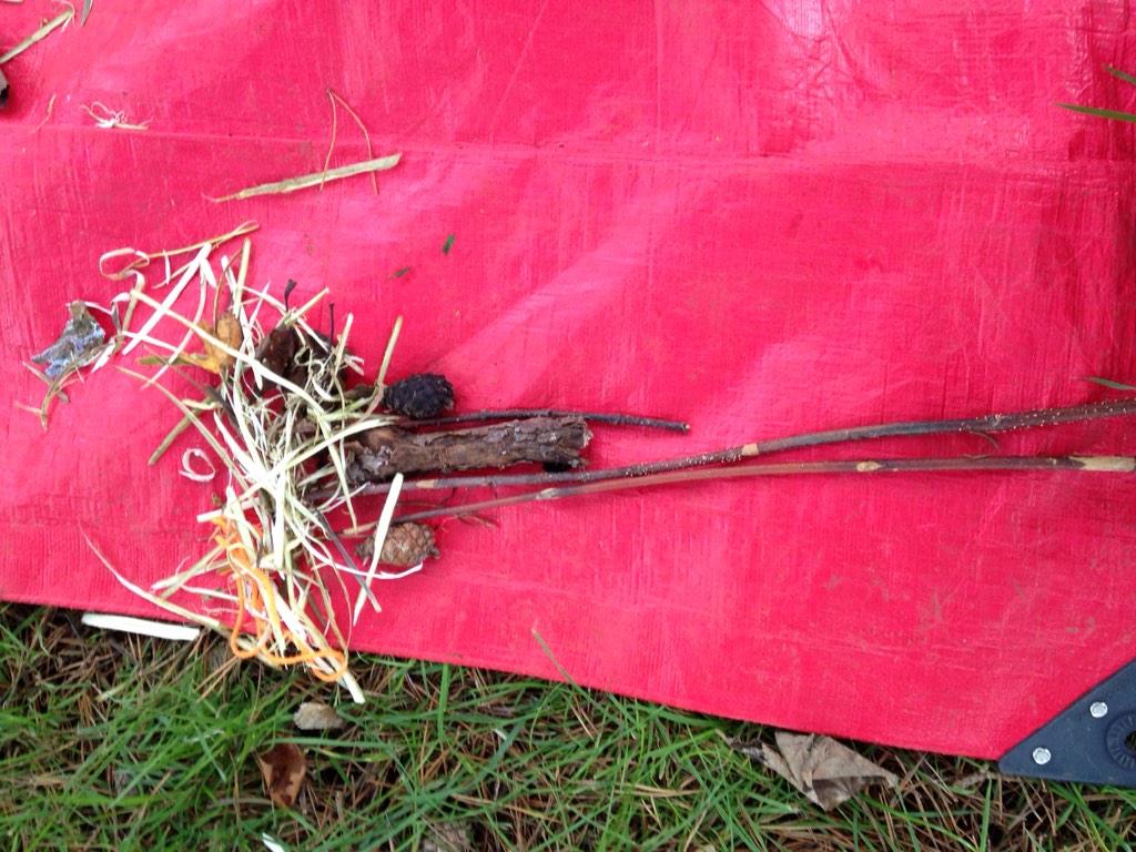 CommunityGrow's tweet image. &apos;Palm tree&apos; - autumn thoughts of warmer times!