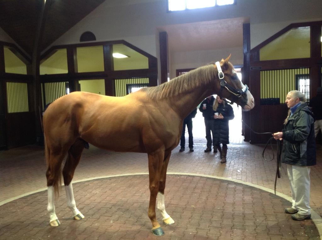 I mean, find me a more beautiful boy than this one <a href="/willtakecharge/">Will Take Charge</a> #LoveHim