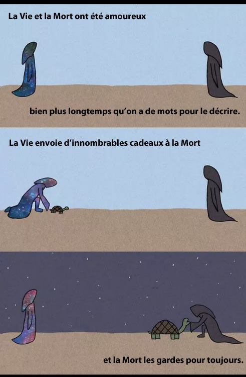 Demotivateur tweet picture
