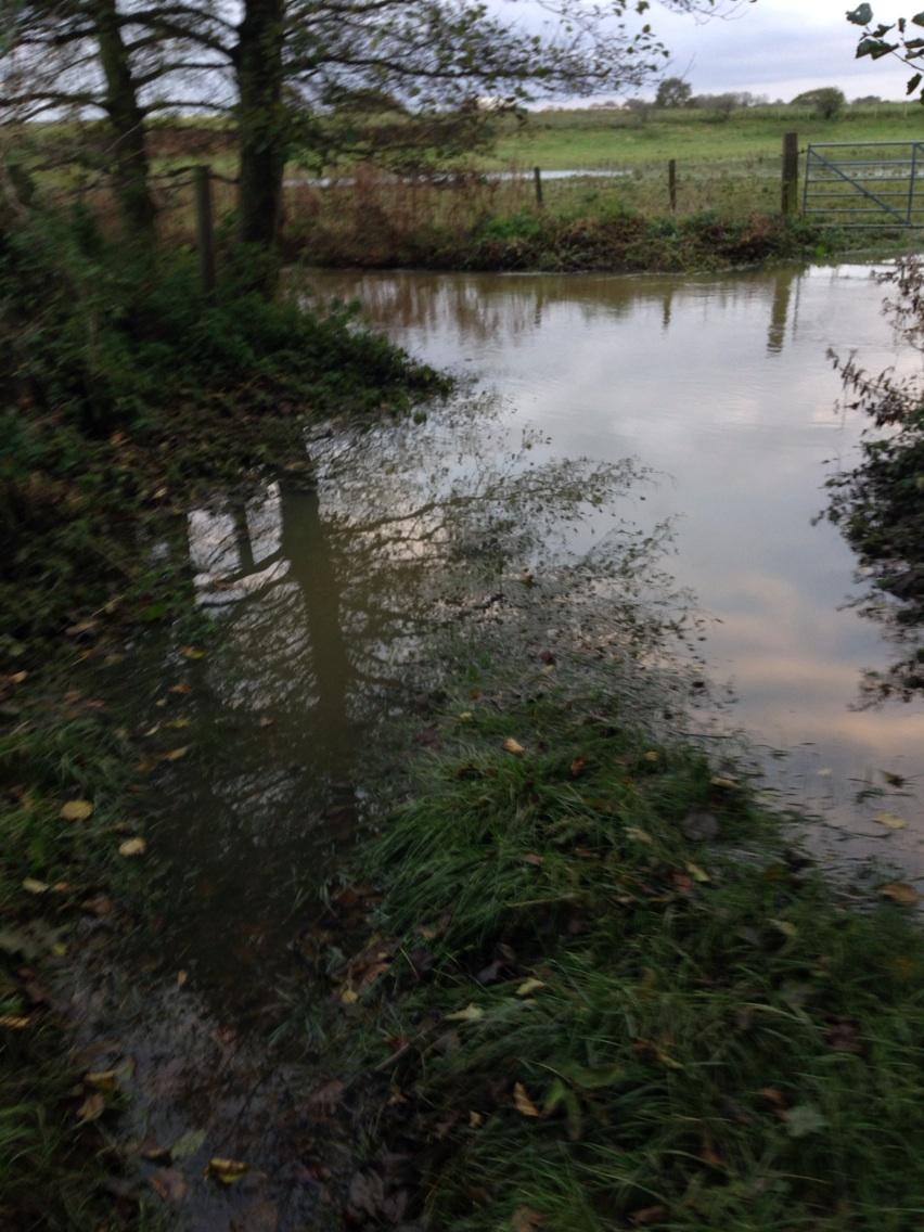 Croft Farm tweet media
