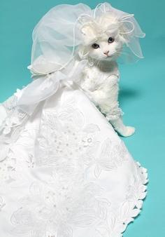 Enlace permanente de imagen incrustada