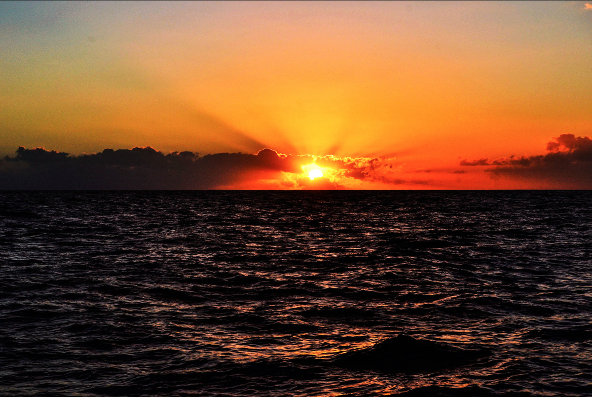 LadiLafeFR's tweet photo. Quand twitter permet d'admirer un coucher de soleil à #LaRéunion...
(immortalisé par Sébastien Mandeix... #Sunset974 http://t.co/4m0vwgkY9L