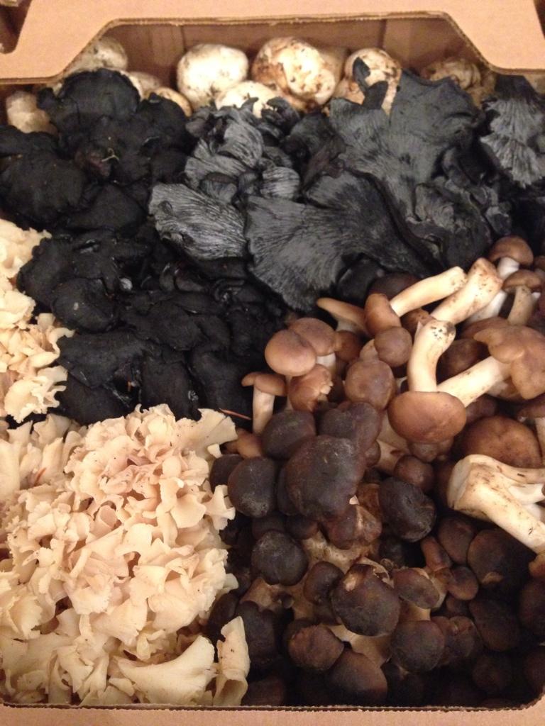 Gorgeous chefs mix for <a href="/statebirdsf/">StateBird Provisions</a> last week! Blue chanterelles, fried chicken, cauliflower, and matsutake #1!