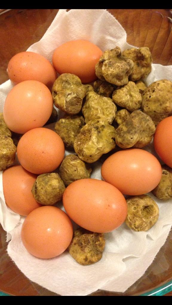 #Truffle eggs, anyone?!