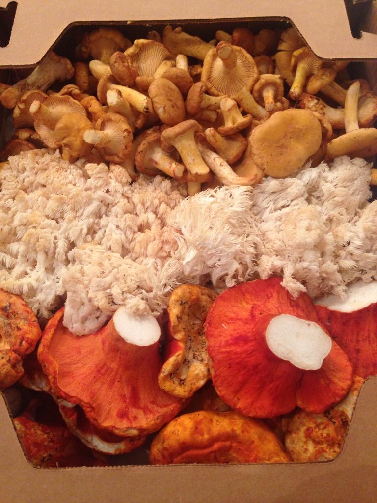 Check out this special chefs mix for Chef David Wilcox!