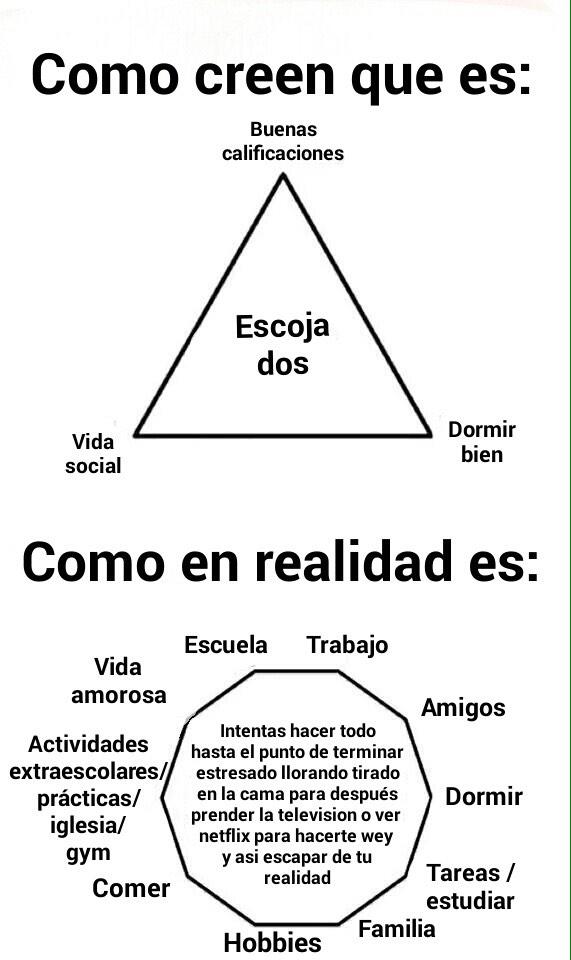 MdcnCabreada's tweet photo. LA VIDA UNIVERSITARIA. http://t.co/agoo1odCva