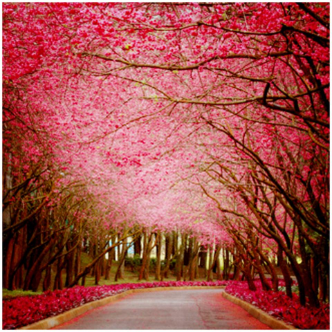 QuantumBiofeed's tweet image. Just a reminder to breathe deep and enjoy the beauty that surrounds you!