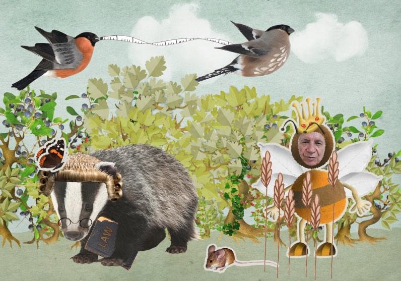 gingersnapteam's tweet image. @domdyer70 hi. Thought you'd like this hedgerow adventure we're developing with @nationaltrust #sharedadventures