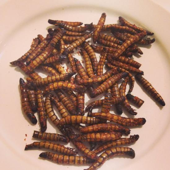 MelaniePic's tweet photo. We eat #worms @swissnexSF with #DonBugito #foodsystems @ETH_en #alumni http://t.co/D8PZWeQoBZ