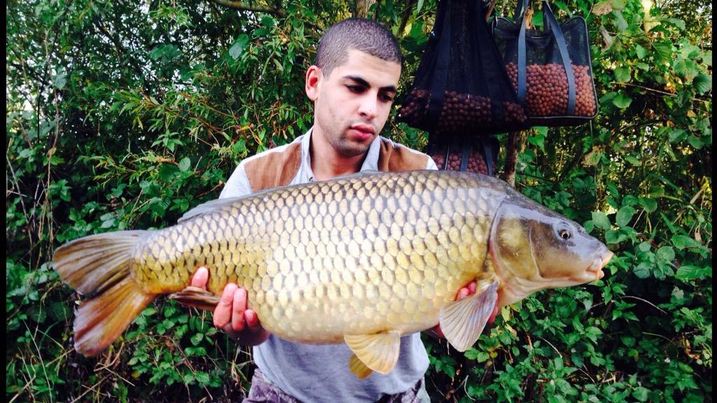Carpywilson's tweet photo. Trip to France #monstercarp http://t.co/J1Gr88oDf3