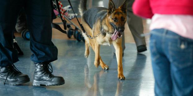 Embedded image permalink