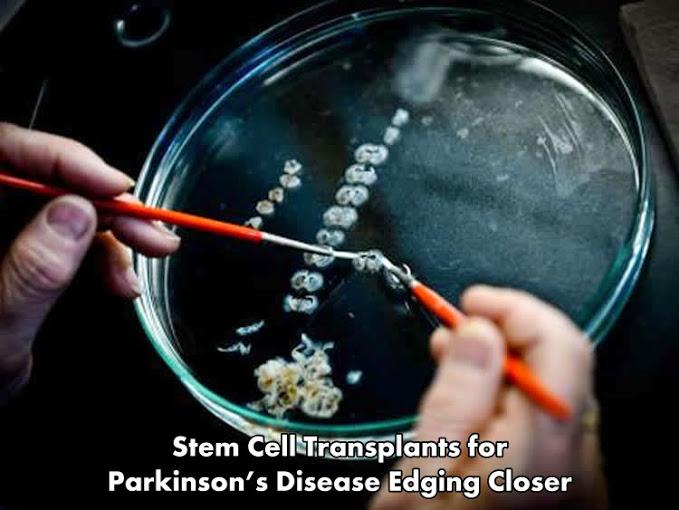 Christopher Maricle (@chrismaricle) on Twitter photo “<a href="/neuro400/">WheatonNeuro</a> : Stem Cell Transplants for Parkinson’s Disease Edging Closer neurosciencenews.com/dopamine-neuro… #science ” “<a href="/neuro400/">WheatonNeuro</a> : Stem Cell Transplants for Parkinson’s Disease Edging Closer neurosciencenews.com/dopamine-neuro… #science ”