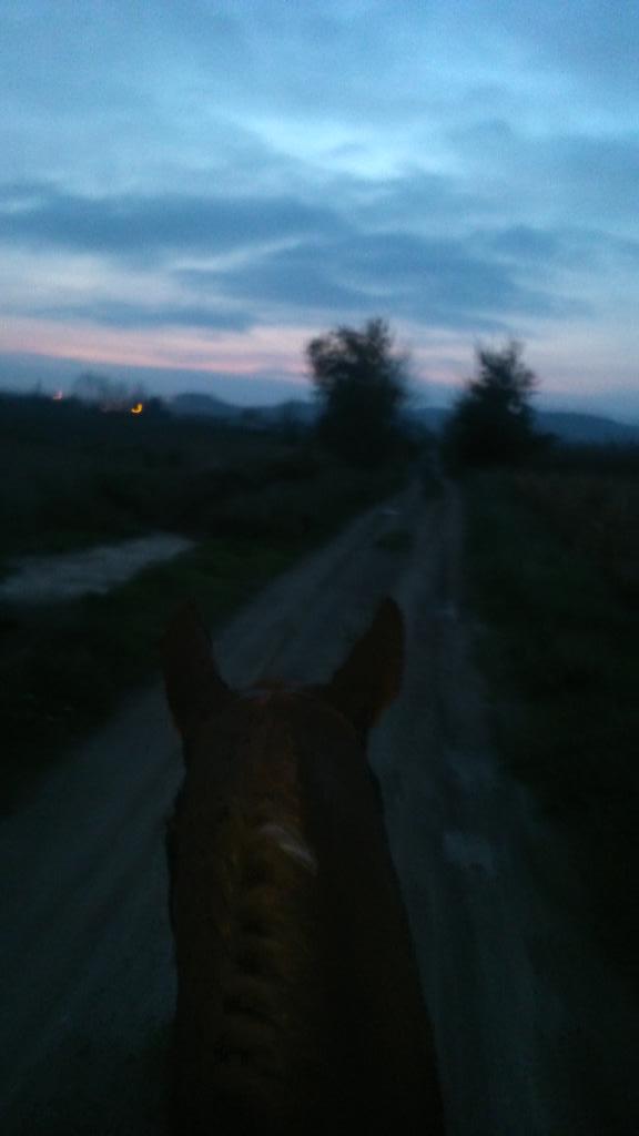 CRsergio2's tweet photo. Como e disfrutao oi con mi yegua,madre mia como e gozaooo por el campo hacia tiempos q no disfrutaba tanto :) #feliz! http://t.co/JlC1ouXbA1