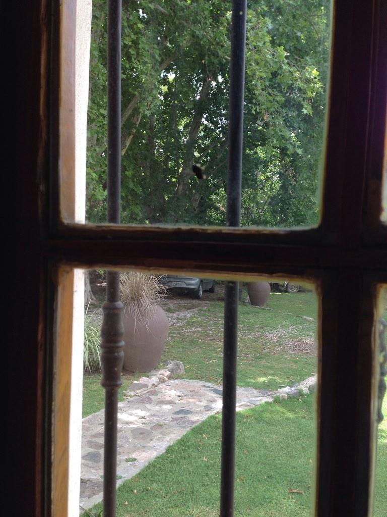 piojoallende's tweet photo. Esa mosca que aparece solo cuando estas estudiando http://t.co/VZTjscD15g