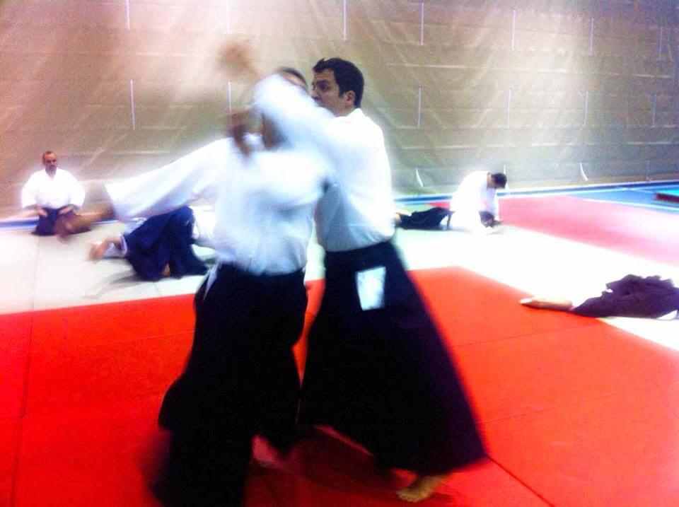 MunenDoAikido's tweet photo. The "DO" Aikido motion... #MunenDoAikidoSevilla #AikidoIsEverywhere @aikixander http://t.co/ufCYoowh28