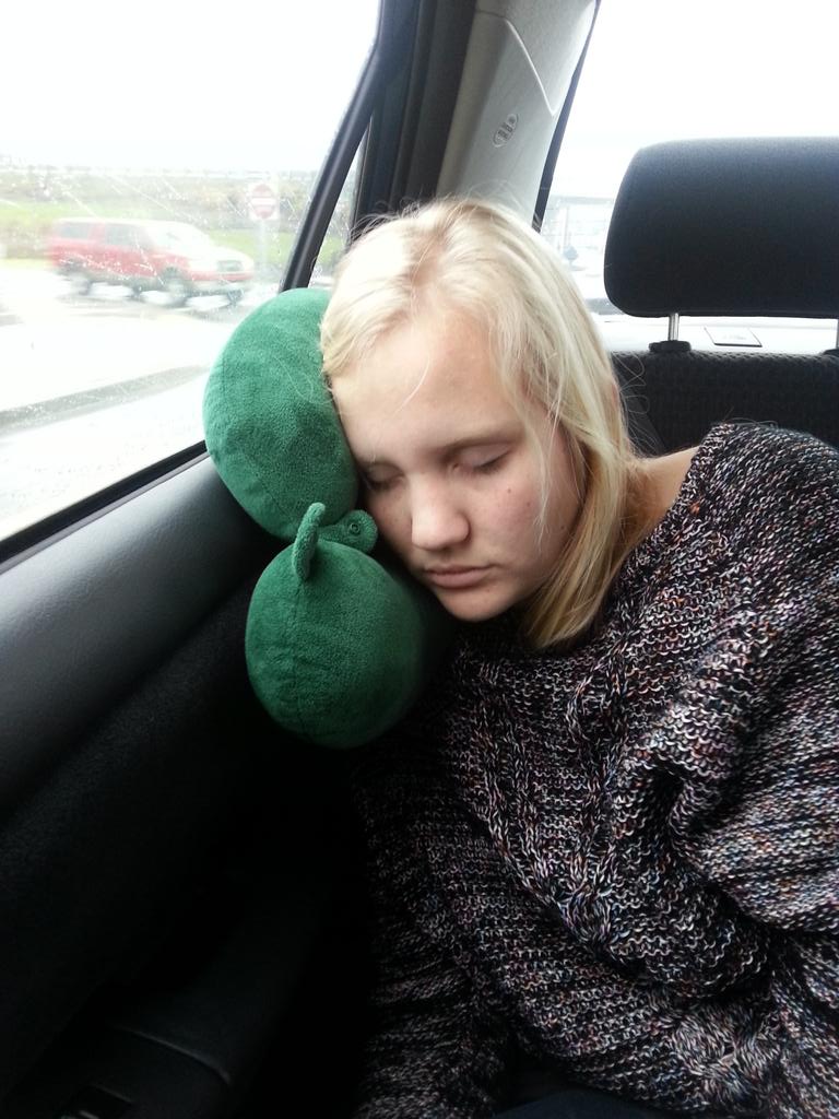 pa_adaf's tweet photo. @PACURH Director is just a little sleepy on the drive #ruffles #diretoredout #sleepshot #nofrills2015 http://t.co/oLWrxz5d0E