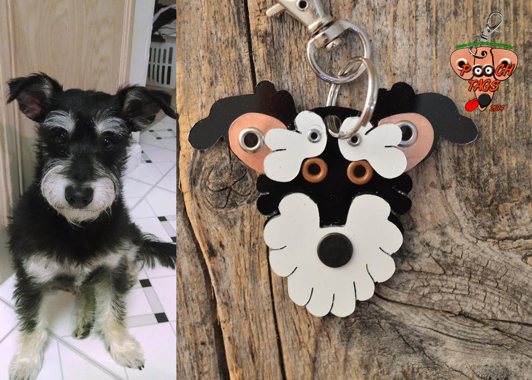 pooch tags