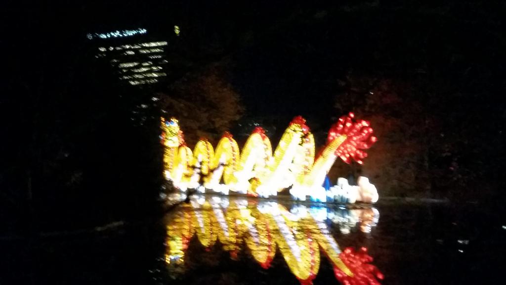 sandervwaveren's tweet photo. #Chinalight030 festival in de botanische tuinen is vandaag geopend. Nog tot 4-1 te zien! #utrecht @UUBotu http://t.co/ta8OfLO4XH