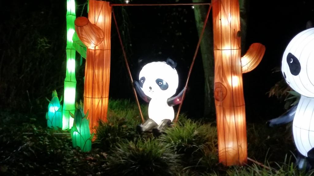 sandervwaveren's tweet photo. #Chinalight030 festival in de botanische tuinen is vandaag geopend. Nog tot 4-1 te zien! #utrecht @UUBotu http://t.co/ta8OfLO4XH