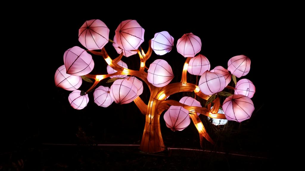sandervwaveren's tweet photo. #Chinalight030 festival in de botanische tuinen is vandaag geopend. Nog tot 4-1 te zien! #utrecht @UUBotu http://t.co/ta8OfLO4XH