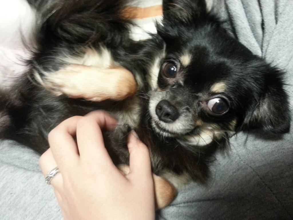 galsa_wasos2's tweet image. 