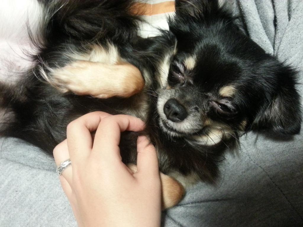 galsa_wasos2's tweet image. 