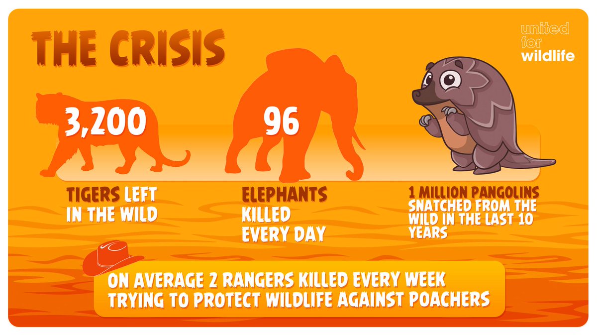 united4wildlife's tweet photo. It’s a #crisis. A crisis people aren’t talking about. We're not asking for your money - we're asking for your voice. http://t.co/jCtaTYW7M9