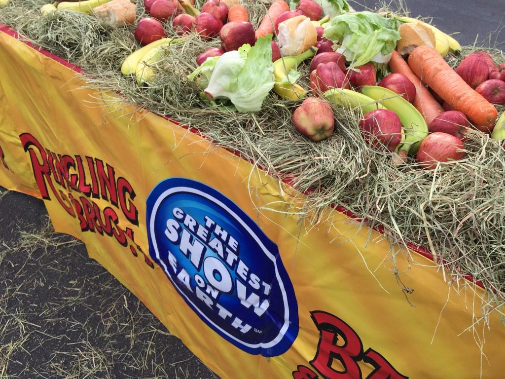 MHartline's tweet photo. @RinglingBros #WelcomeHome Elephant Brunch at #FeldStudios 11AM http://t.co/ArvosywXAC
