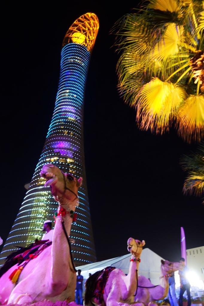 iRunFar's tweet image. This is Doha, Qatar! Get psyched for the #IAU100k World Champs starting in 20 mins. i-rn.fr/14IAU100k-Live